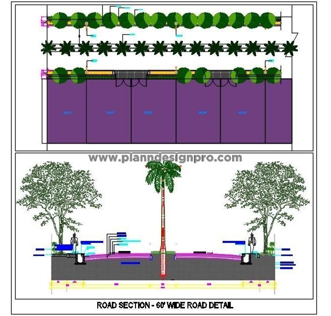 60' Road Design with Pathways, Green Areas & Divider in AutoCAD