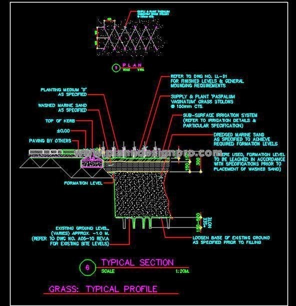 Grass Planting Detail with Plan and Section- AutoCAD File