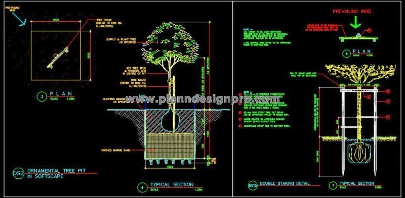 Ornamental Tree Landscape CAD Detail- Planting and Staking