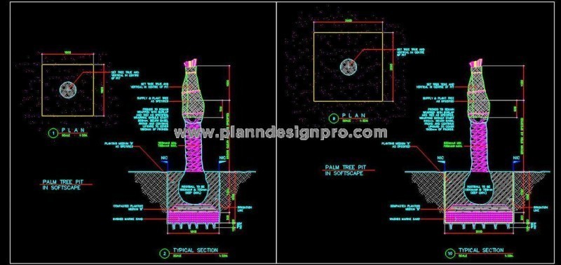 Palm Tree Plantation CAD Drawing- Softscape Design