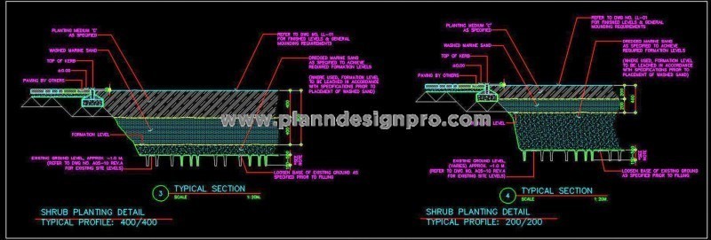 Shrub Planting CAD Drawing with Paved Floor