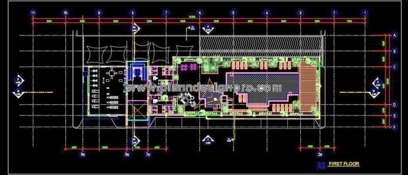 Swimming Pool Floor Plan with Gym and Landscaping Details